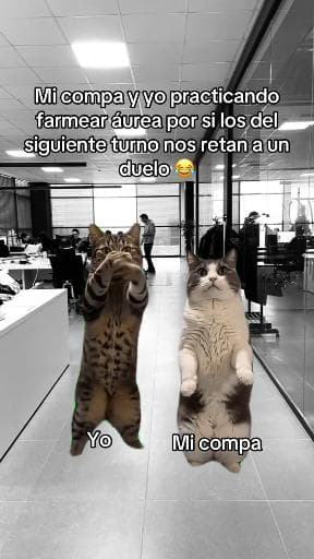 Aura en pose Libre